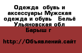 Одежда, обувь и аксессуары Мужская одежда и обувь - Бельё. Ульяновская обл.,Барыш г.